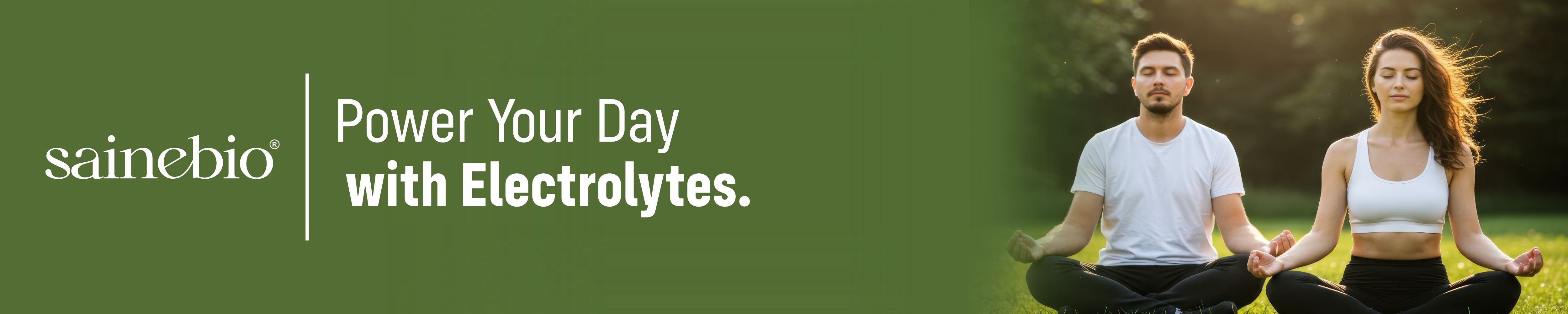 Nano Electrolytes