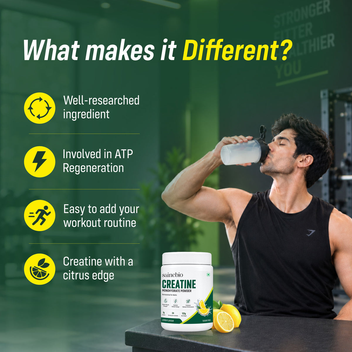 Sainebio Creatine Monohydrate Powder