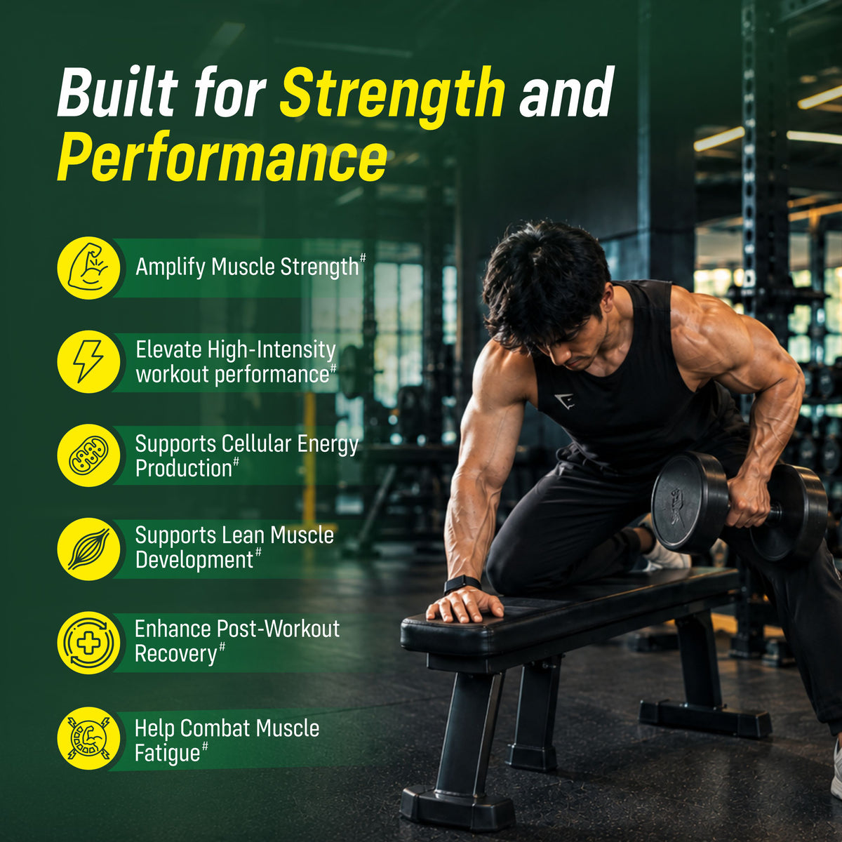 Sainebio Creatine Monohydrate Powder