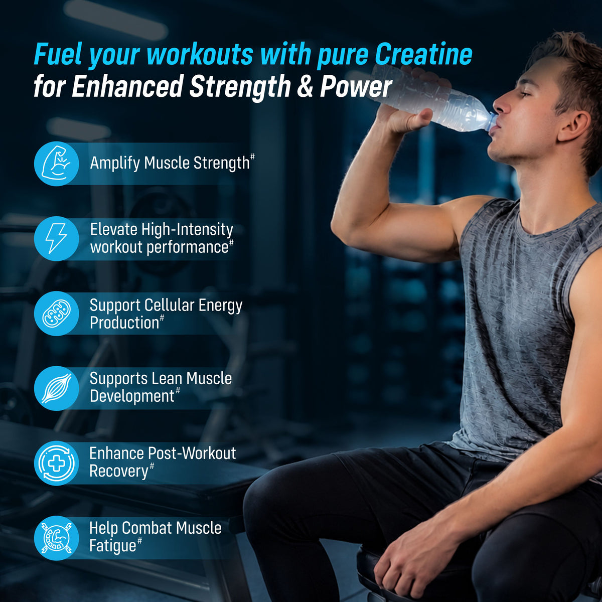 Sainebio Creatine Monohydrate Powder Unflavour