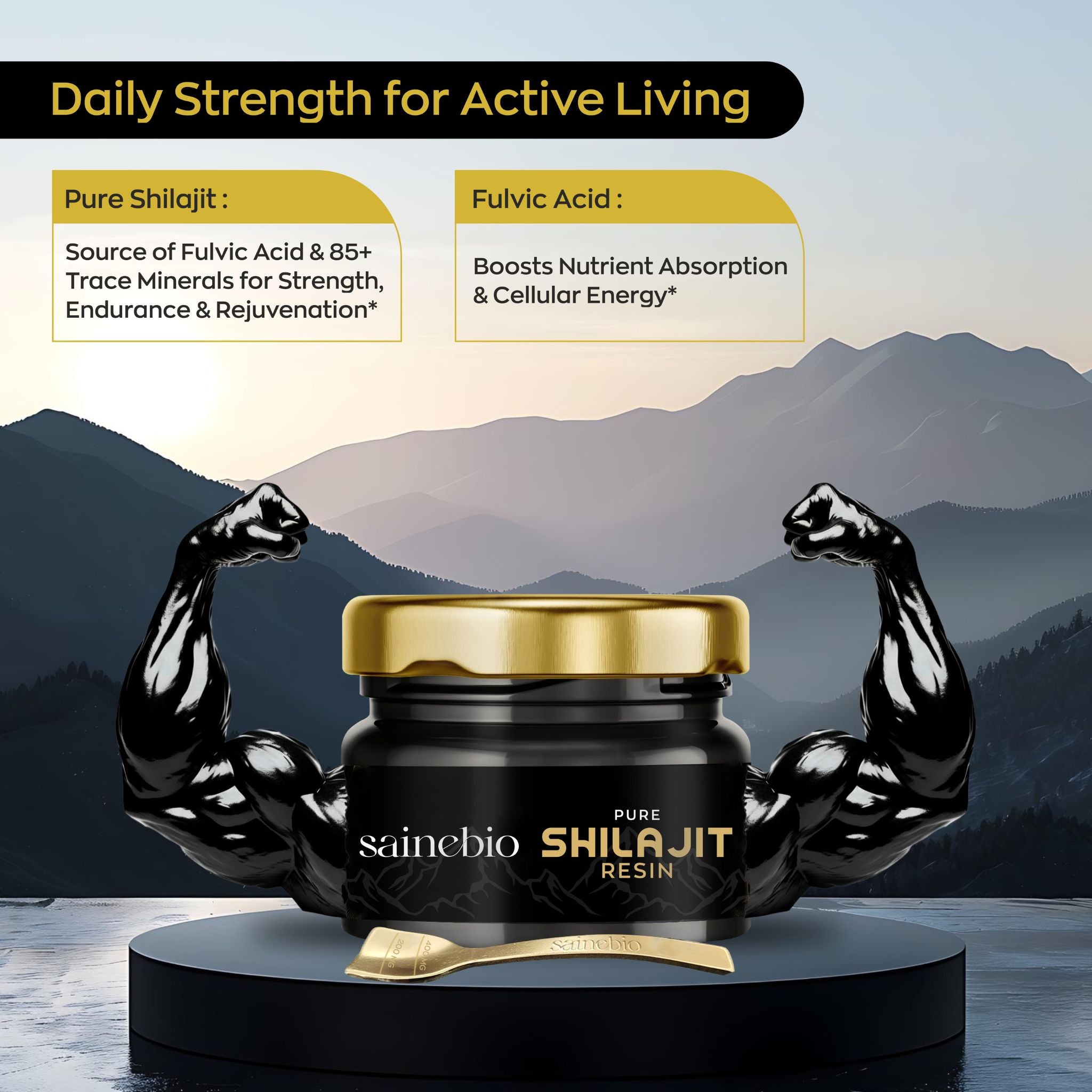 Sainebio Shilajit Resin