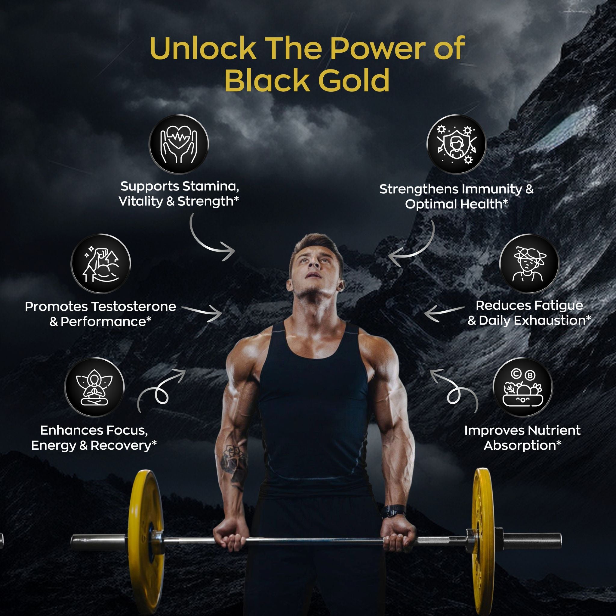 Sainebio Shilajit Resin