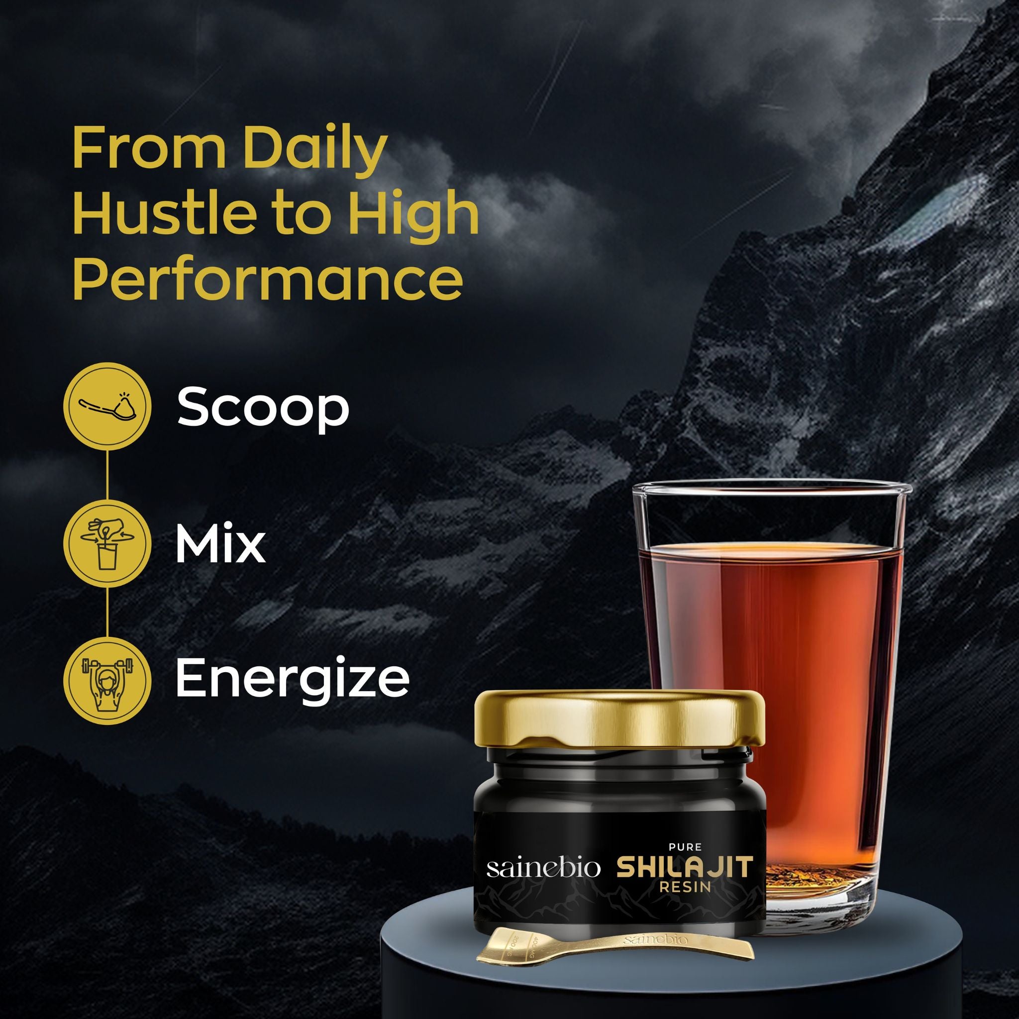 Sainebio Shilajit Resin