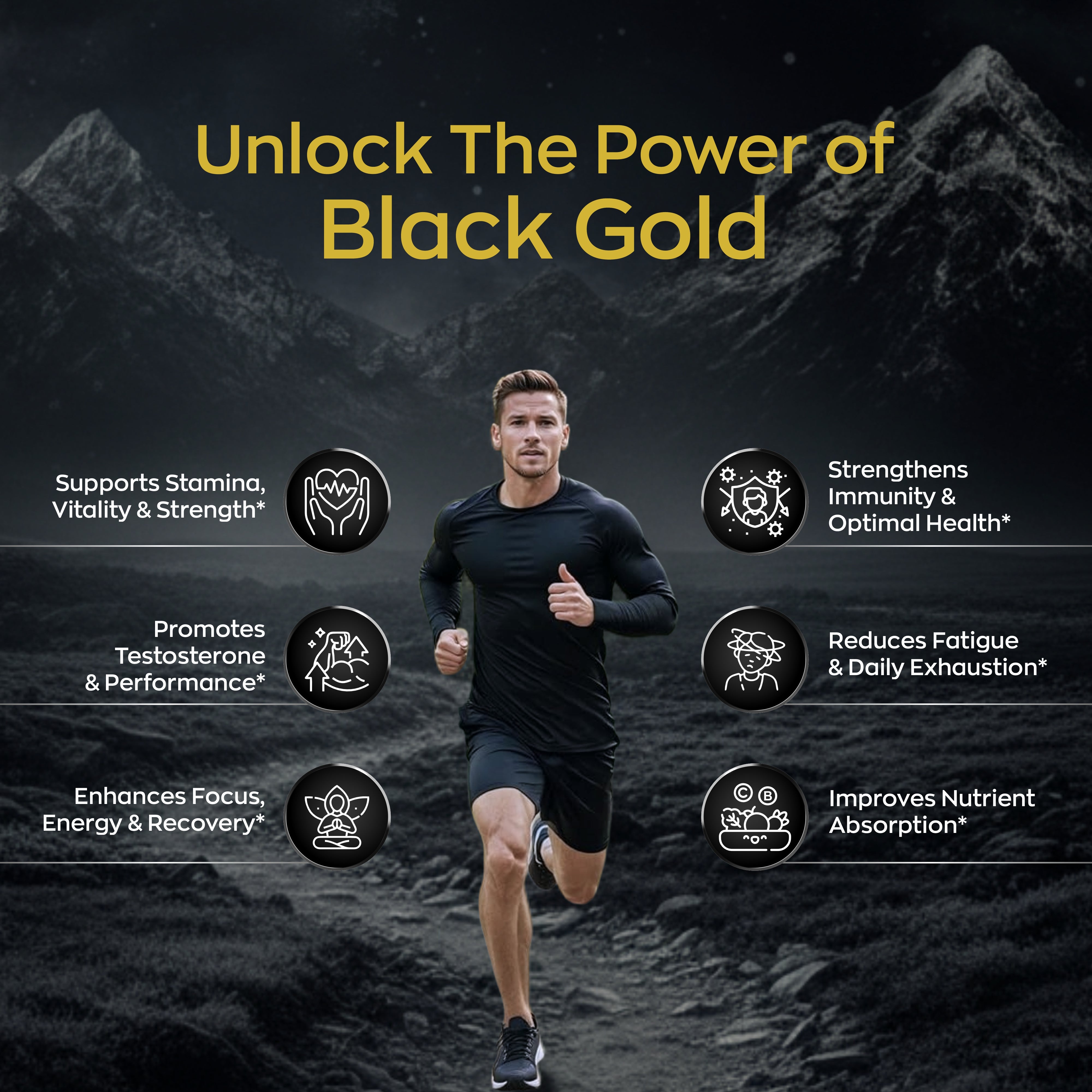 Saniebio Shilajit Honey Stick