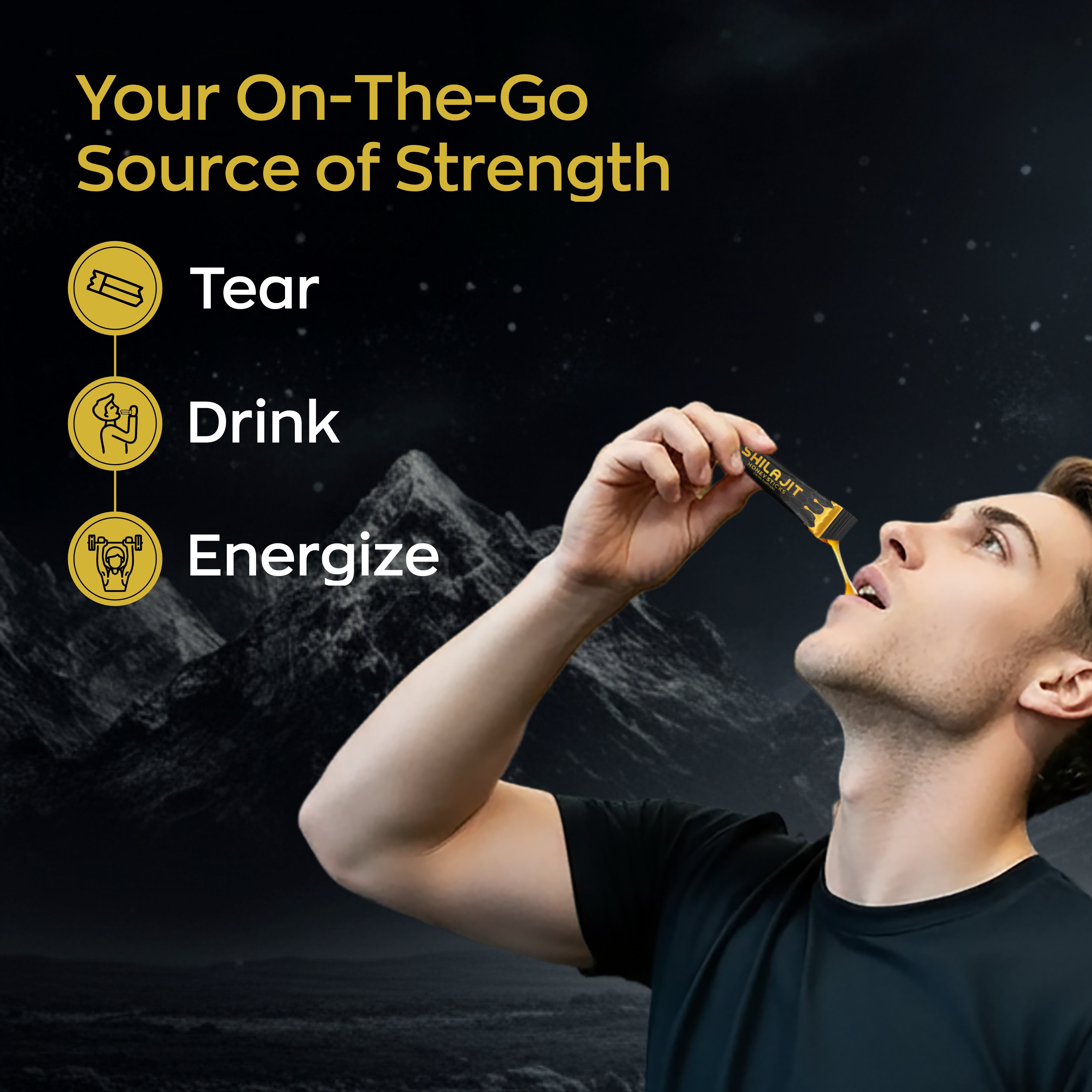 Saniebio Shilajit Honey Stick