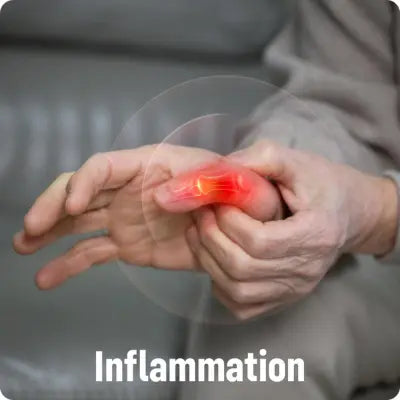 Inflammation